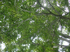 s_PICT0562_thumb.png